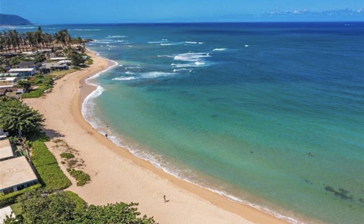 Photo of Others in Haleiwa