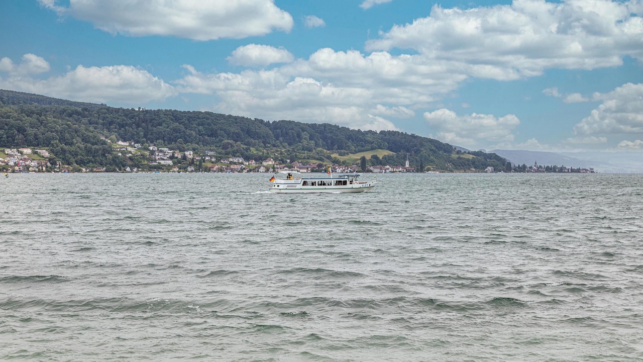 Photo of Others in Reichenau