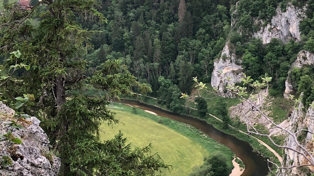 Photo of Others in Fridingen an der Donau