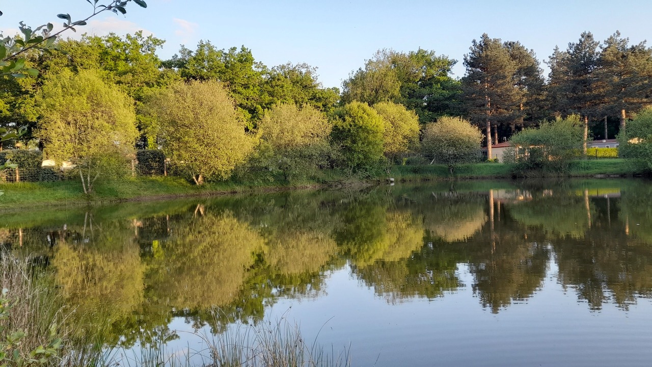 Photo of Outdoor in La Boissiere-de-Montaigu