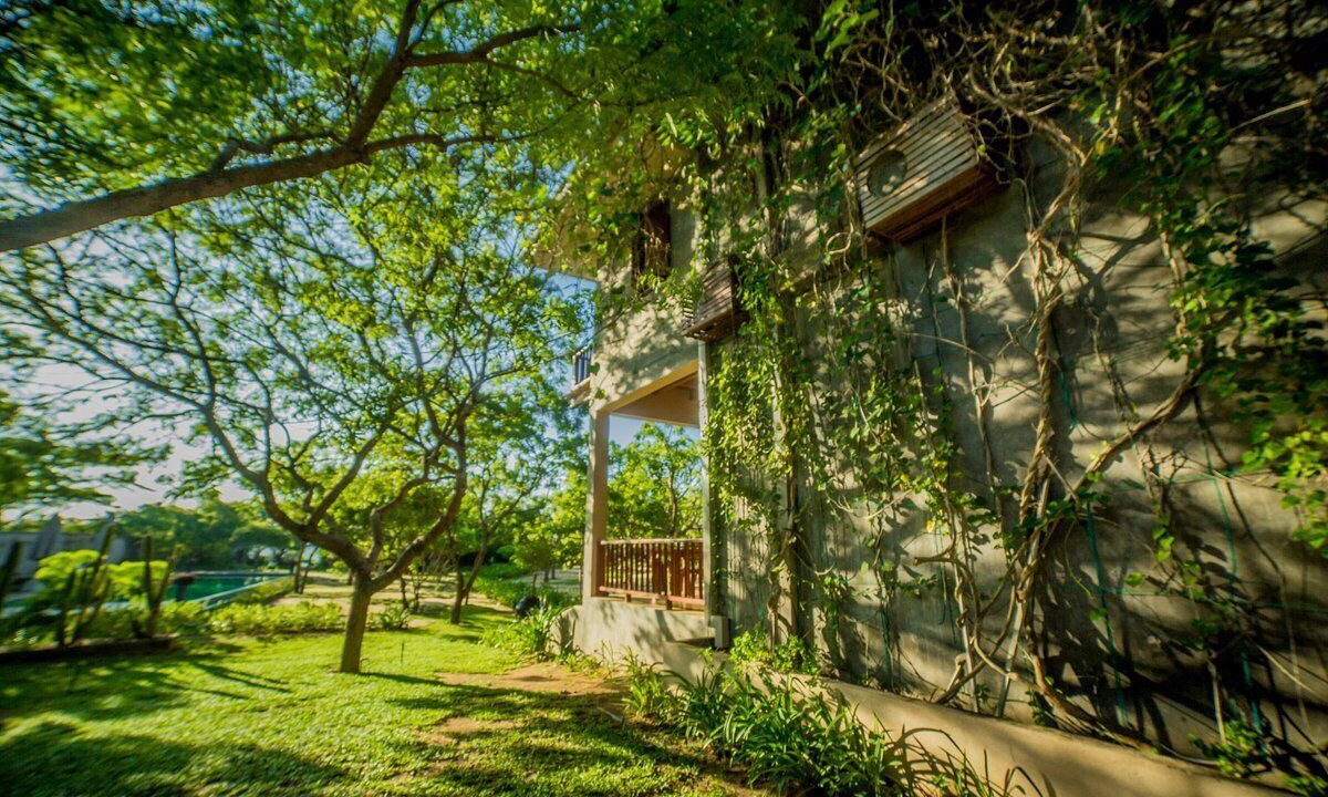 Photo of Outdoor in Yodakandiya