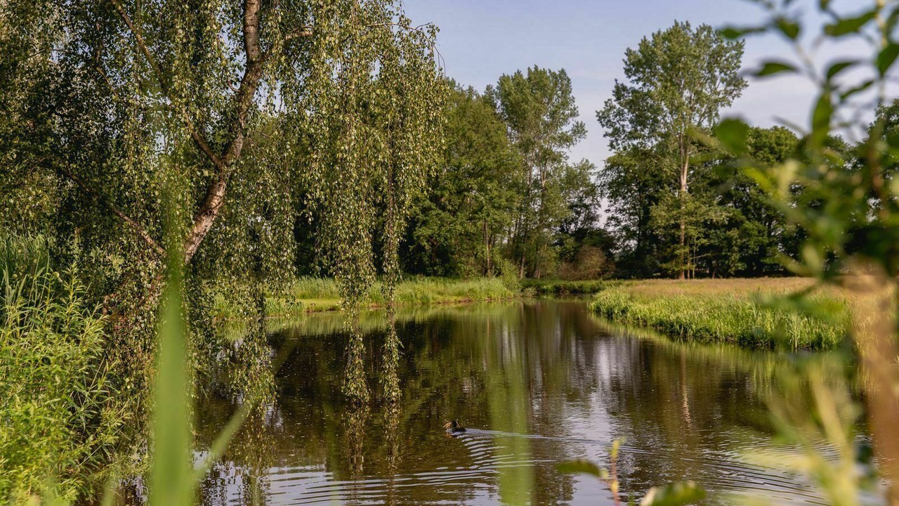 Photo of Outdoor in Rijssen
