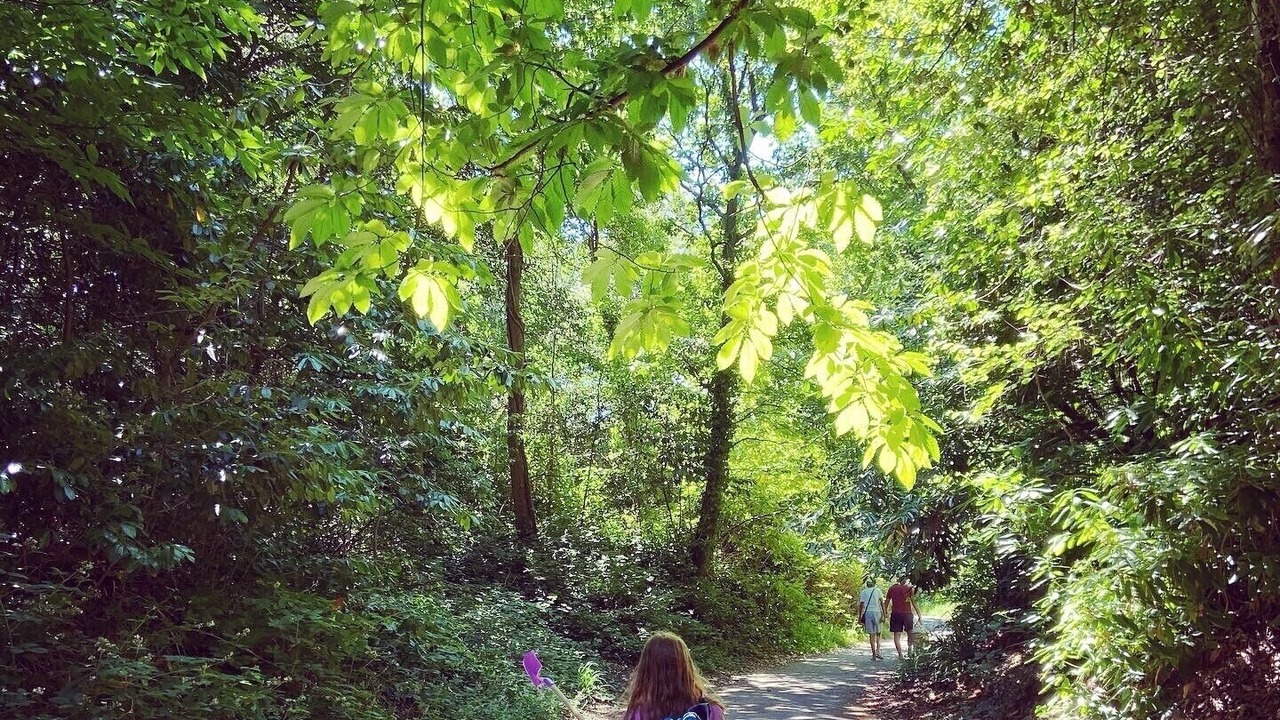 Photo of Others in Canford Cliffs