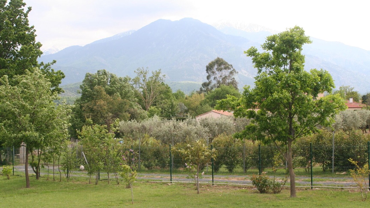 Photo of Outdoor in Los Masos