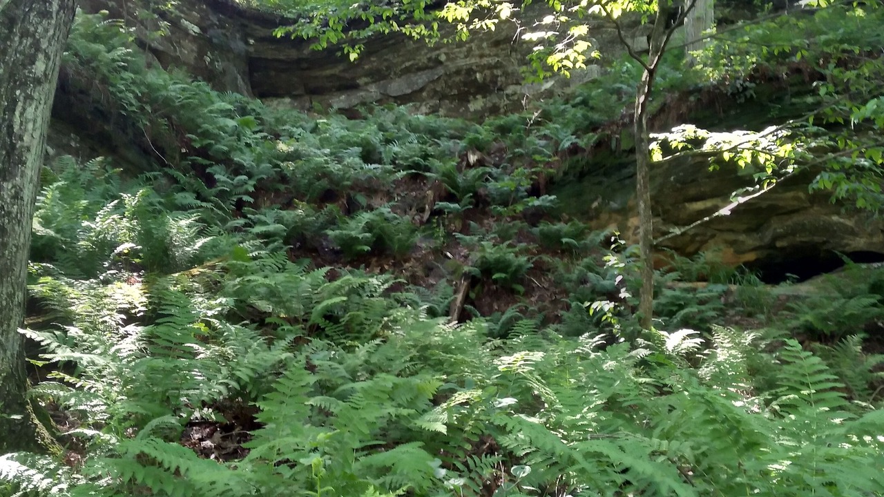 Photo of Outdoor in Elroy