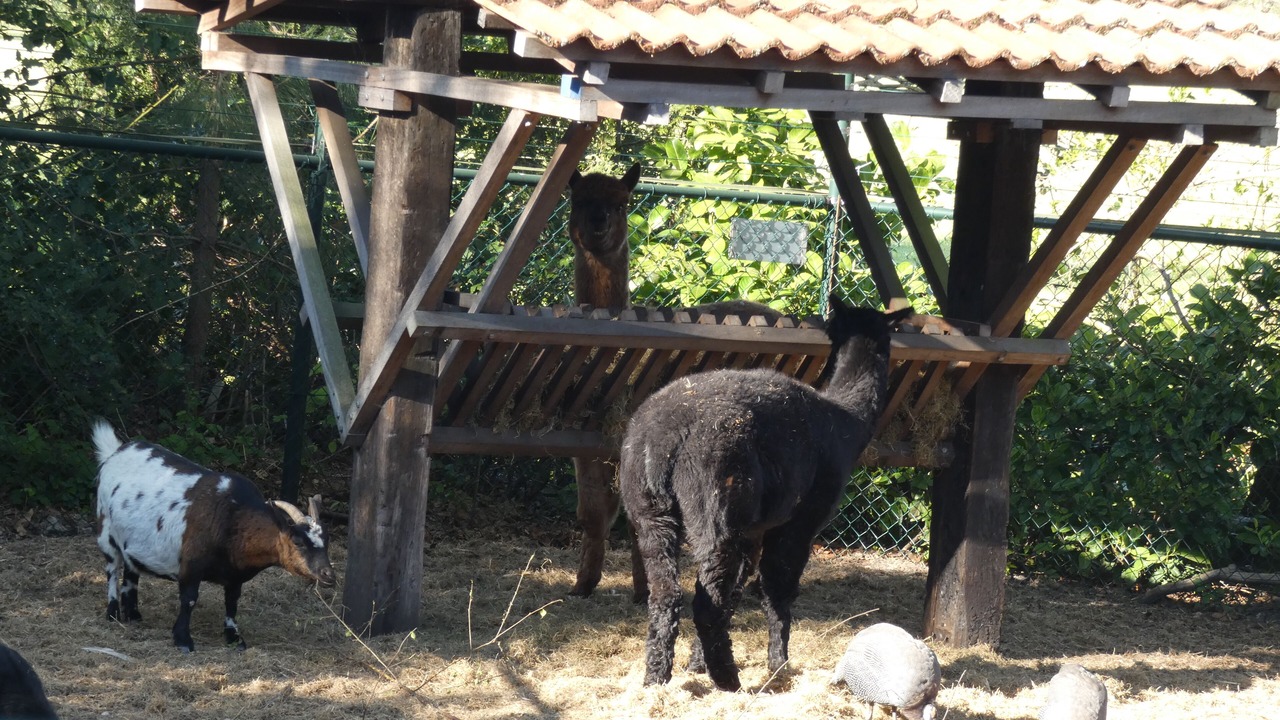 Photo of Outdoor in Marum