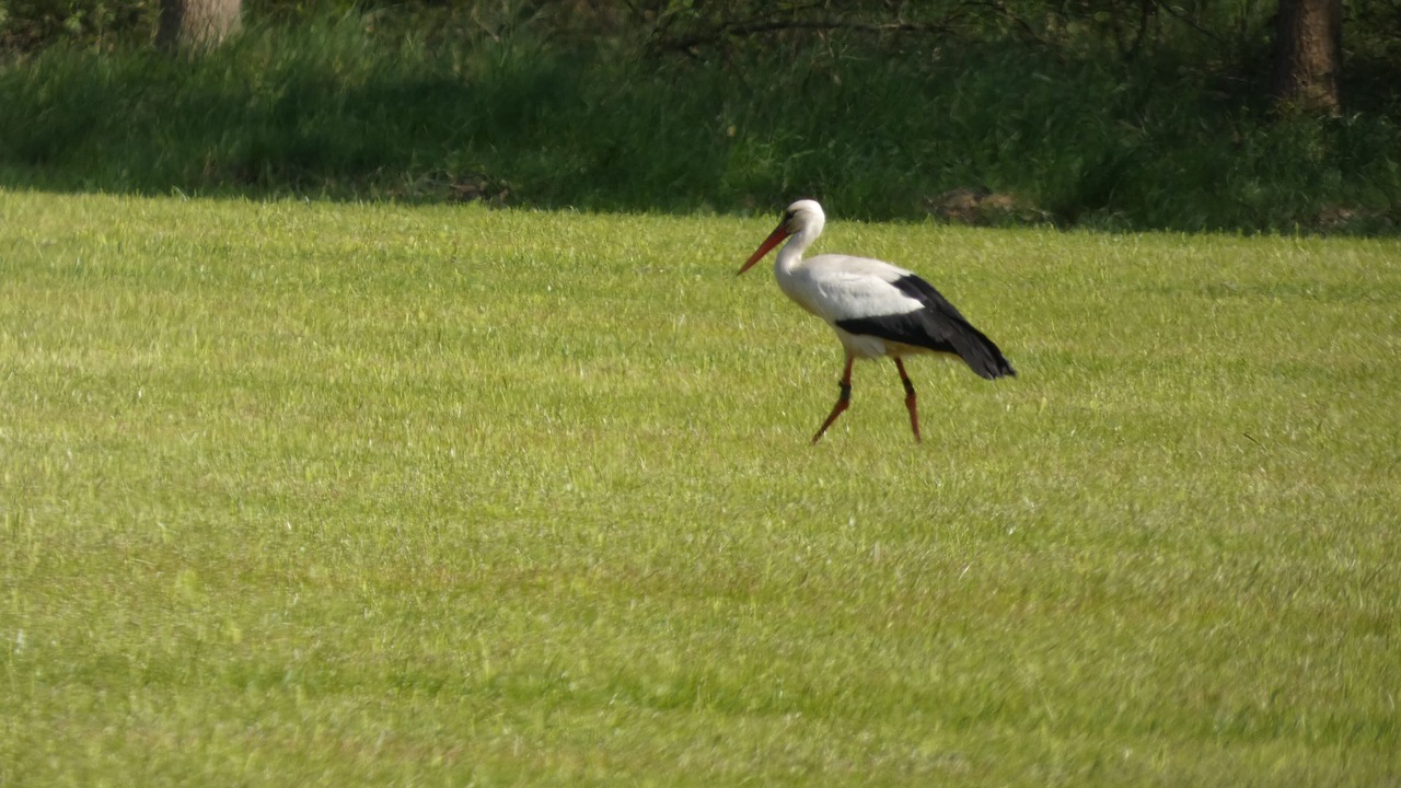 Photo of Others in Marum