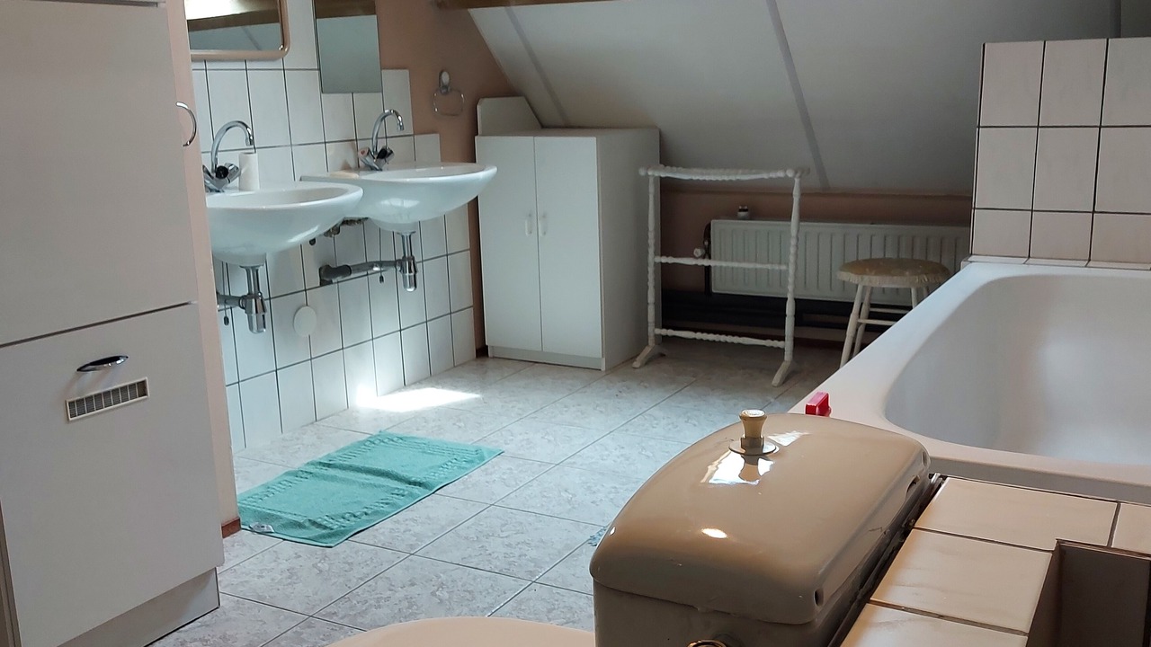 Photo of Bathroom in Budel-Dorplein