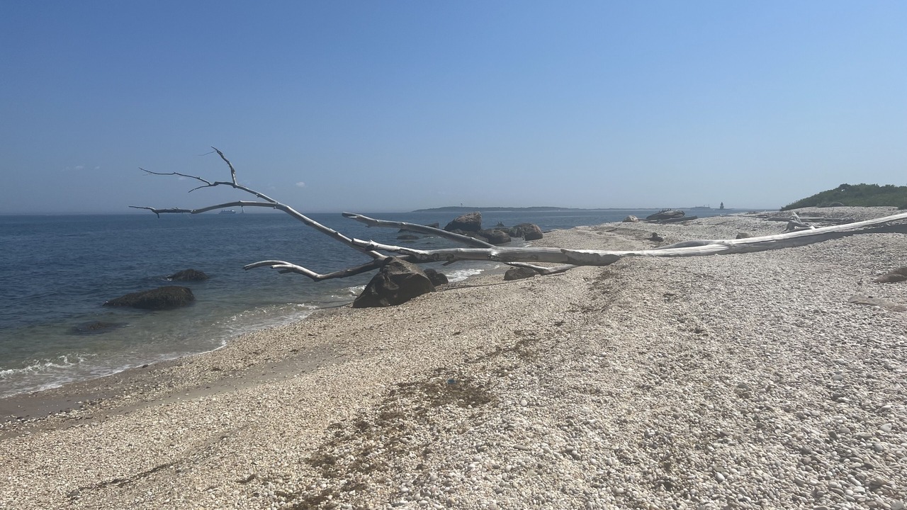 Photo of Others in Orient Point