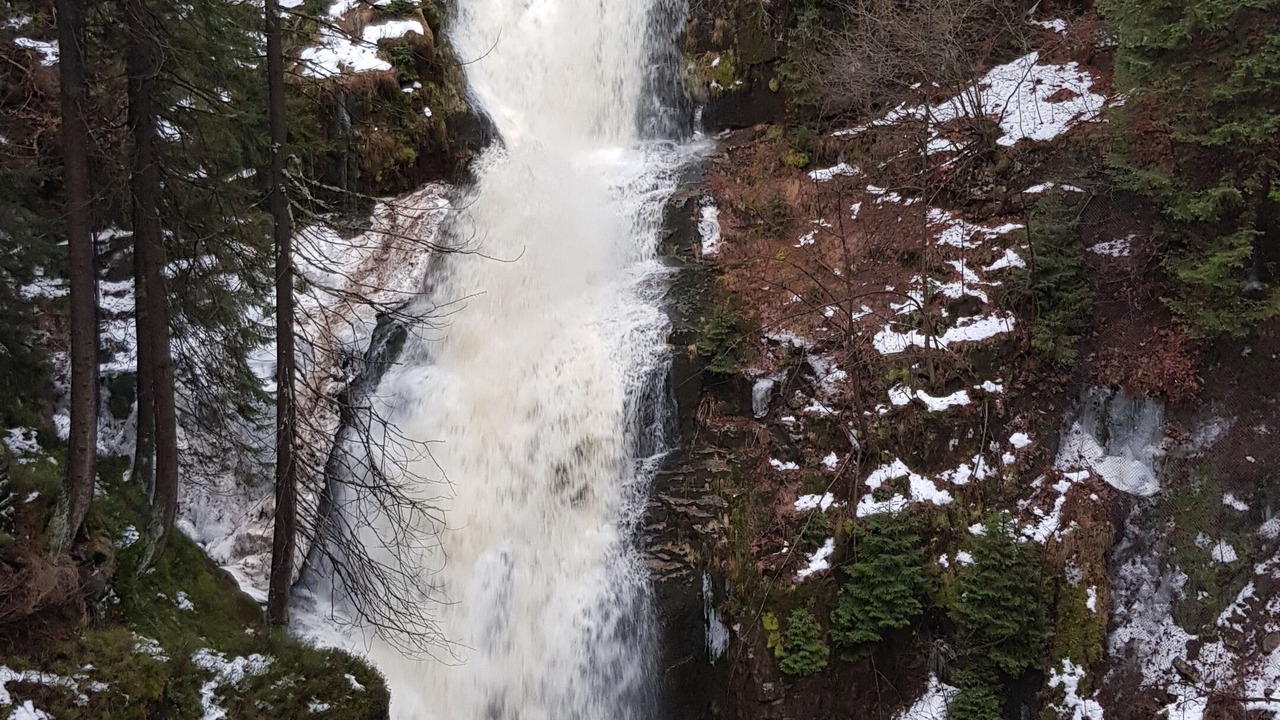 Photo of Outdoor in Lomnica