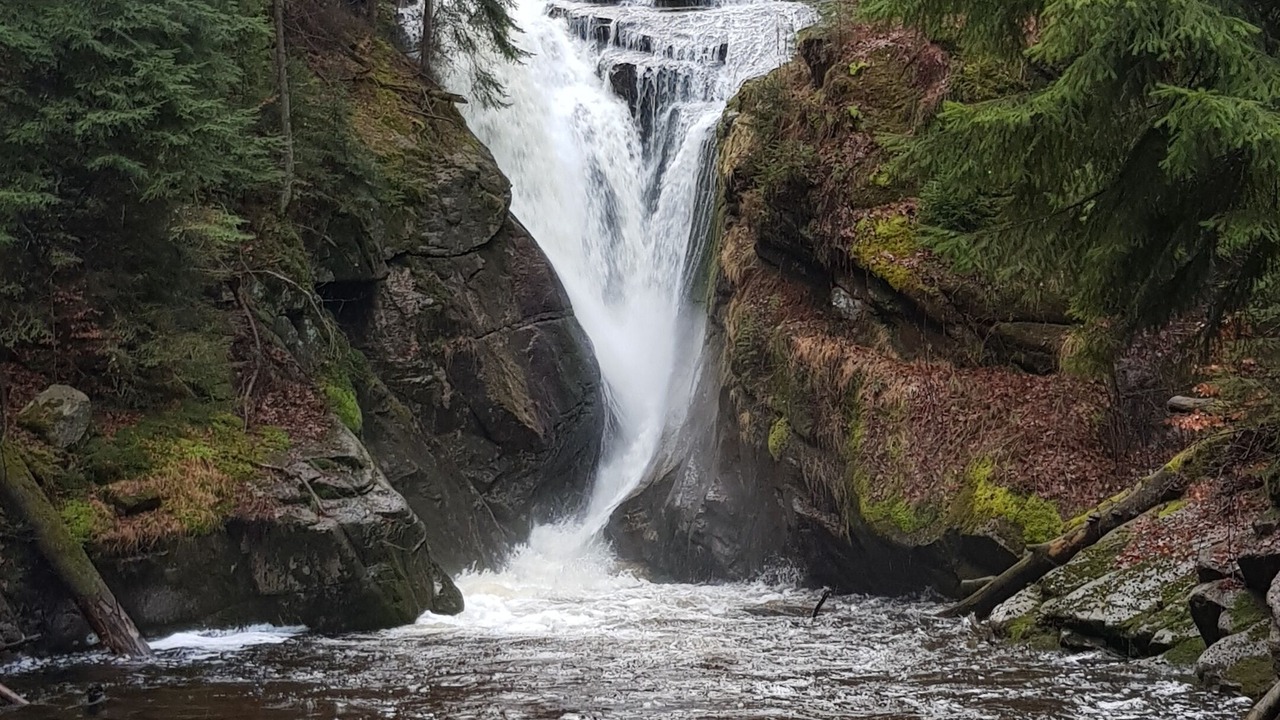 Photo of Outdoor in Lomnica