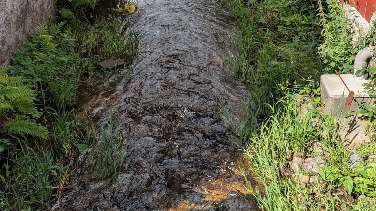 Photo of Outdoor in Saulxures-sur-Moselotte