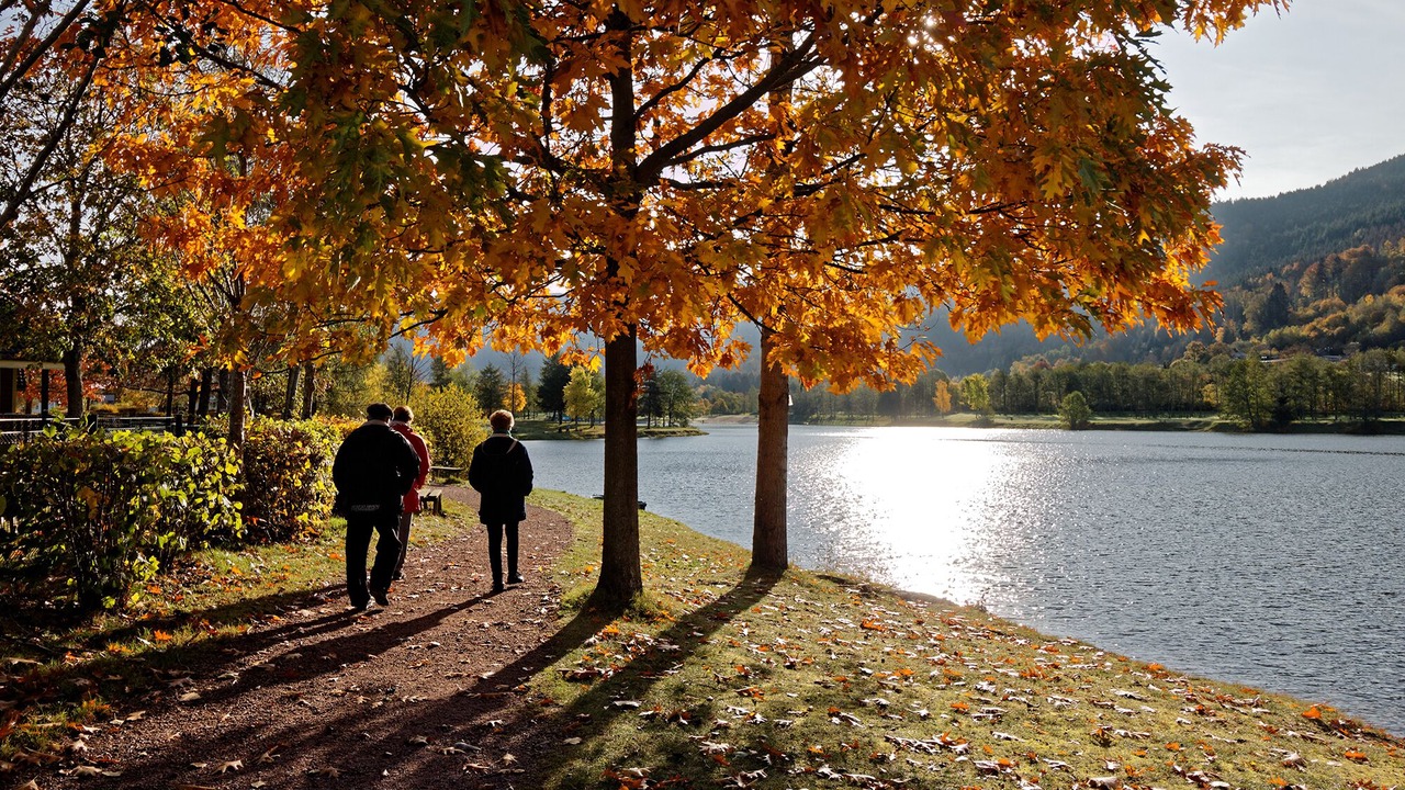 Photo of Outdoor in Saulxures-sur-Moselotte