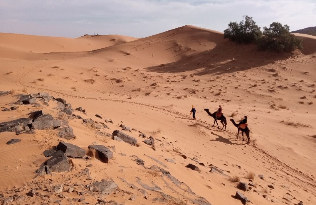 Photo of Others in Merzouga
