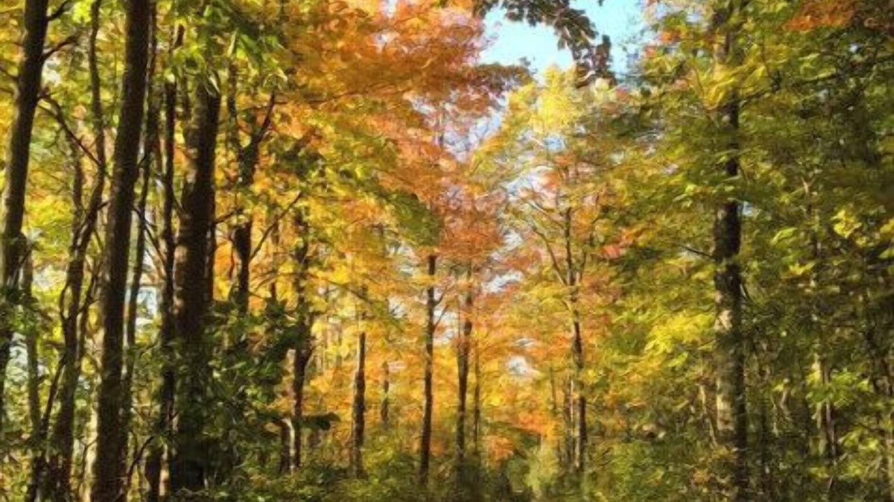 Photo of Others in Durham Region