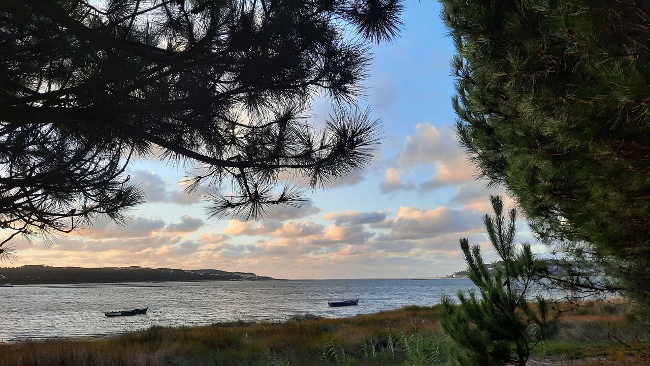 Photo of Others in Foz do Arelho