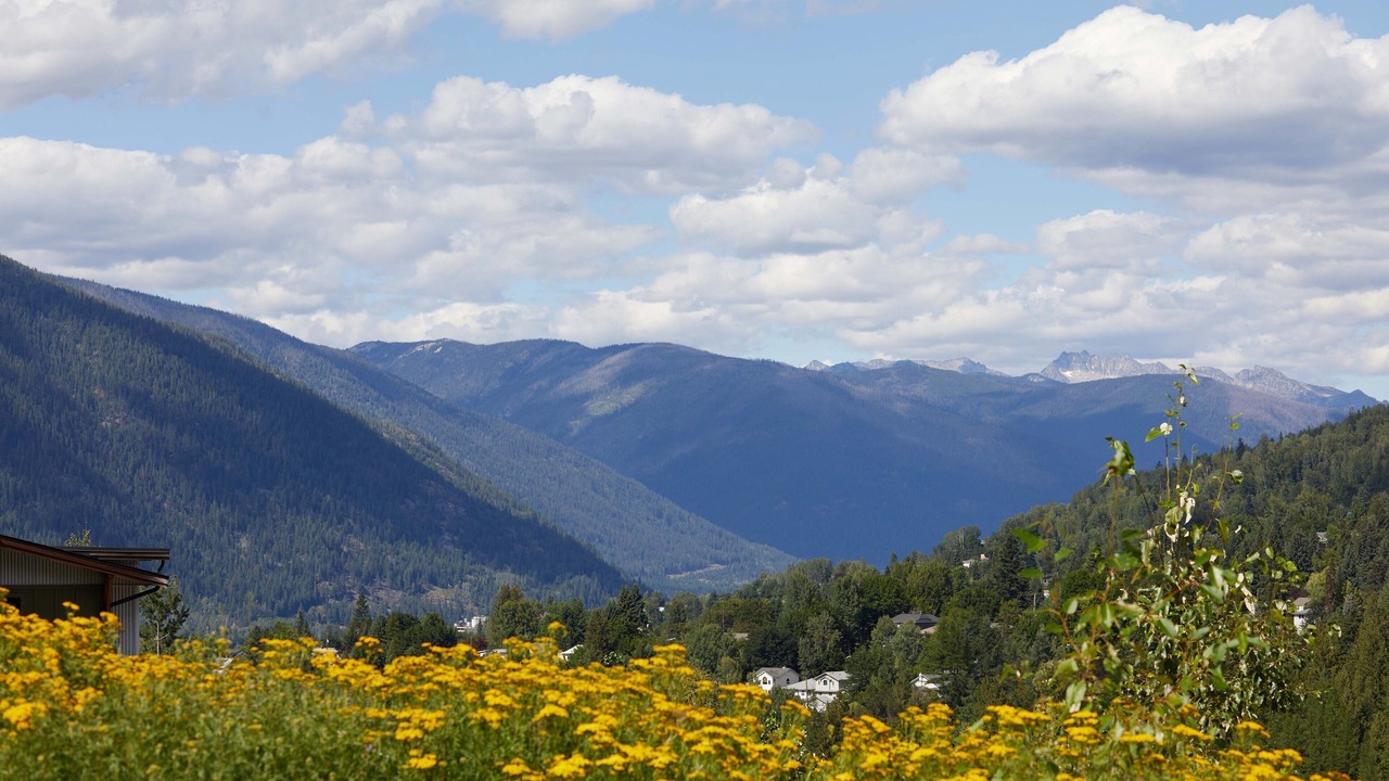 Photo of Others in Nelson