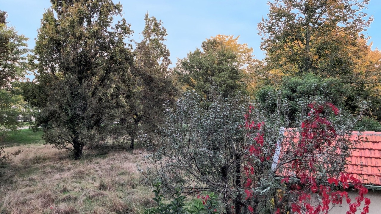 Photo of Outdoor in Le Pian-Medoc