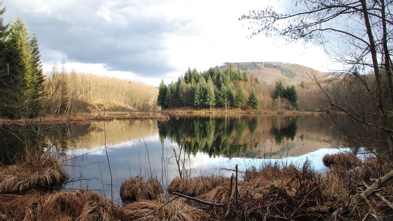 Photo of Outdoor in Valdoie
