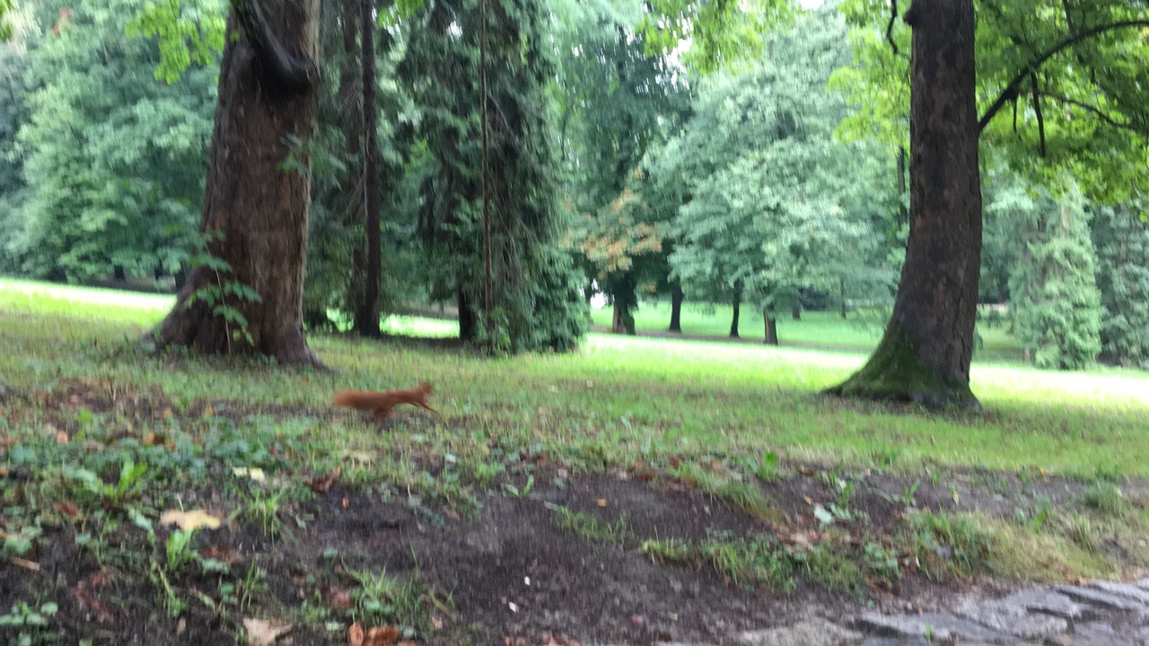 Photo of Outdoor in Radom