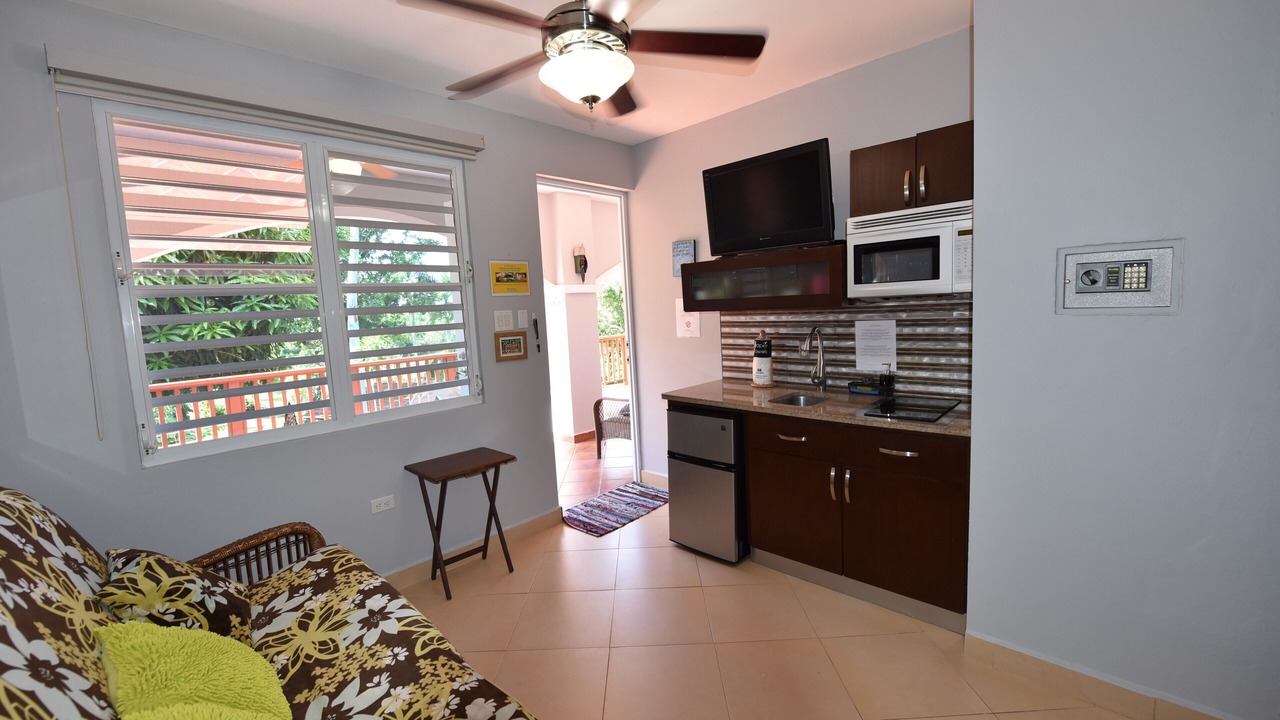 Photo of Livingroom in Aguadilla