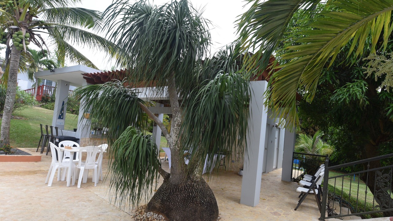 Photo of Outdoor in Aguadilla