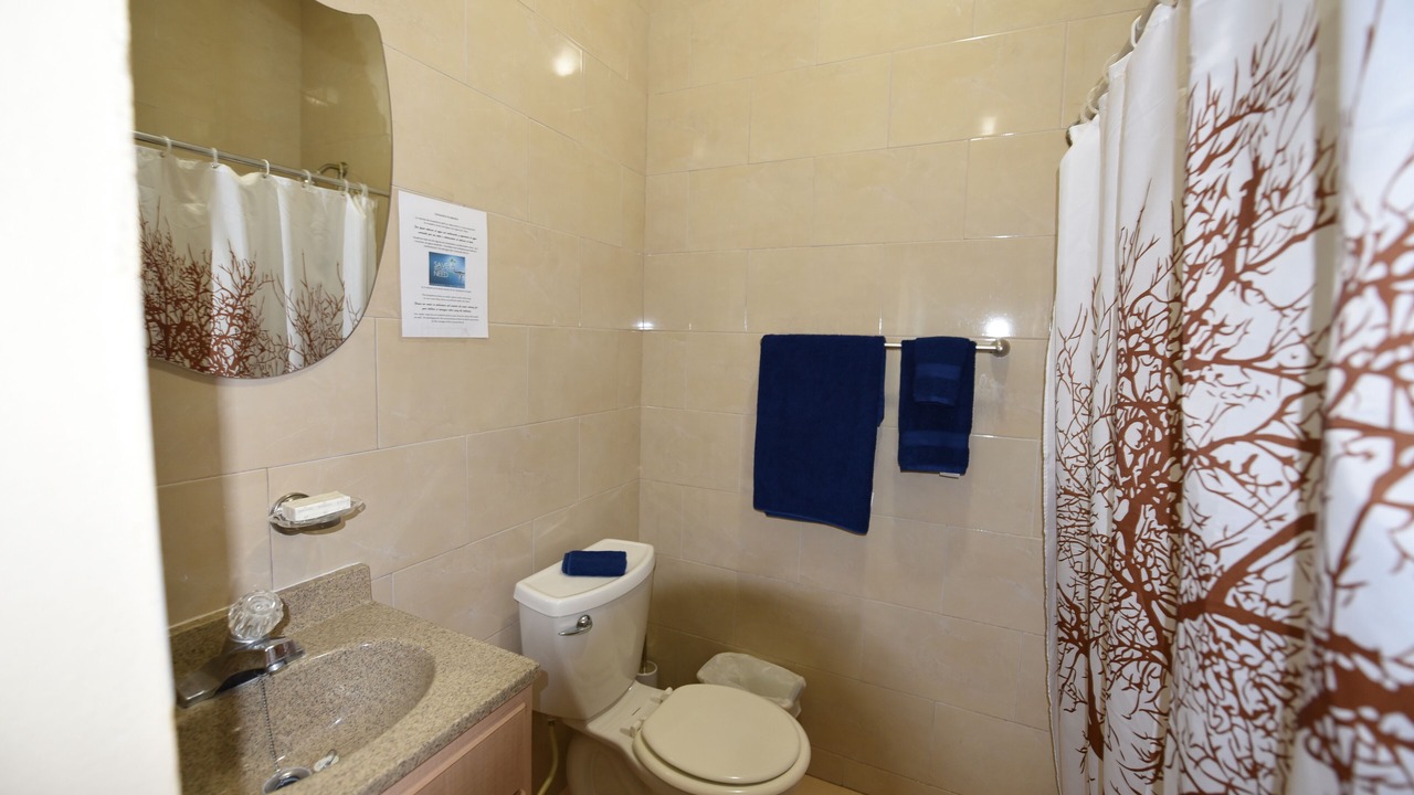 Photo of Bathroom in Moca