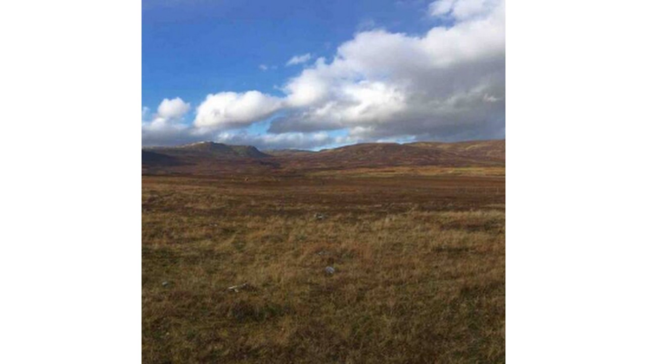 Photo of Others in Newtonmore
