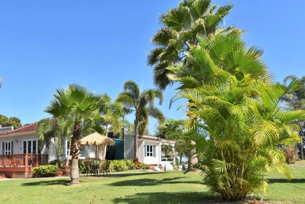 Photo of Outdoor in Aguadilla Pueblo