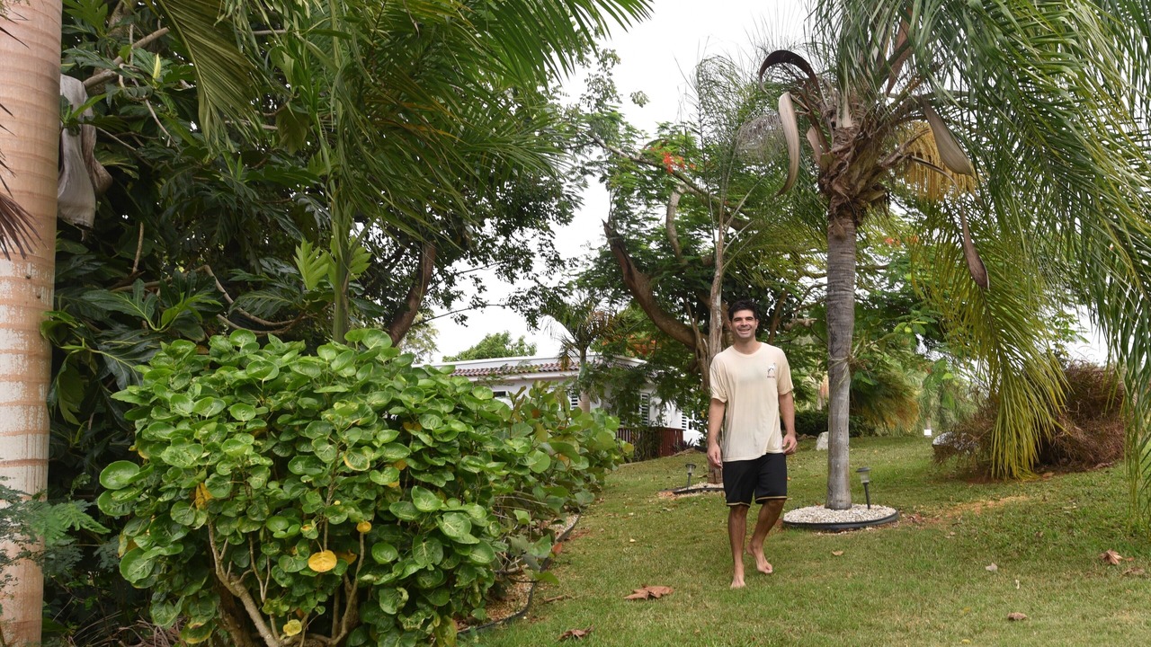 Photo of Outdoor in Aguadilla