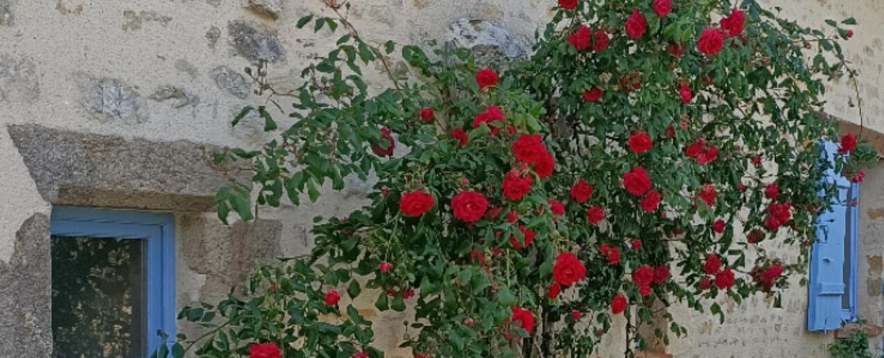 Photo of Outdoor in Corpe