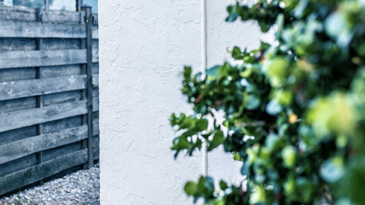 Photo of Outdoor in Sarasota