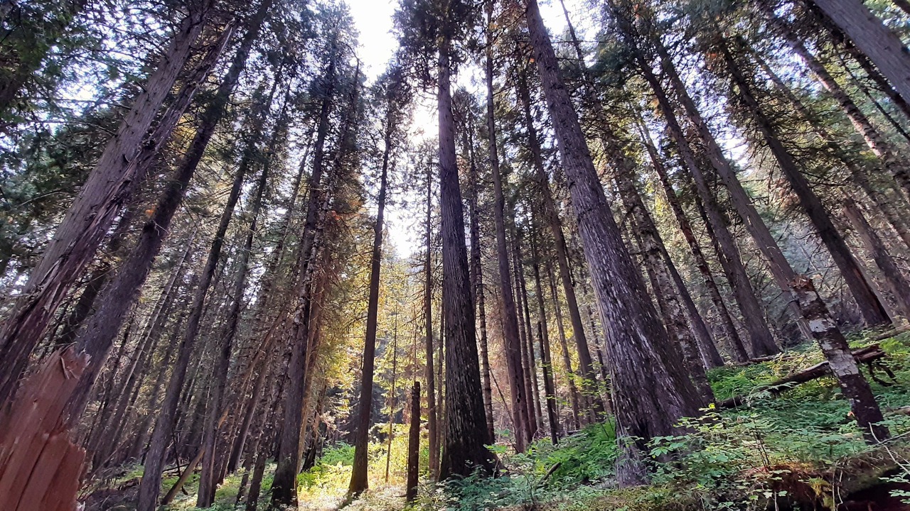 Photo of Outdoor in Fenn