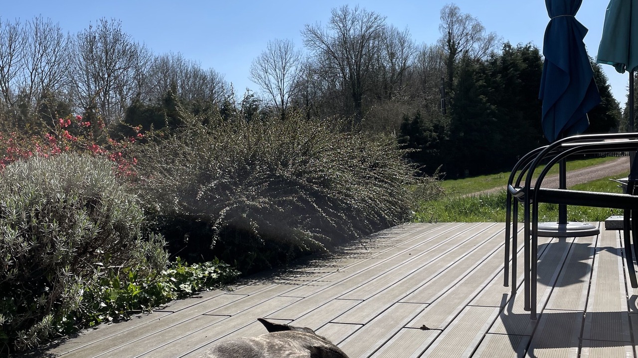 Photo of Others in Brazey-en-Morvan