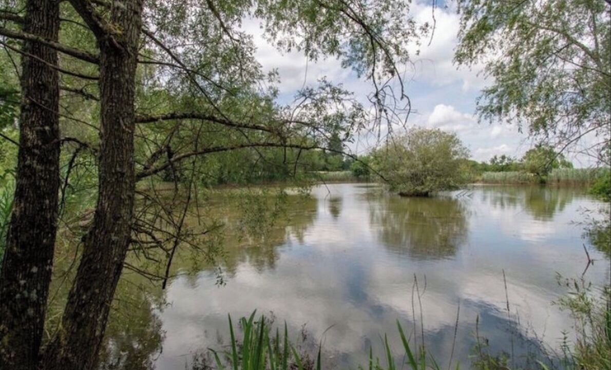 Photo of Others in Brazey-en-Morvan