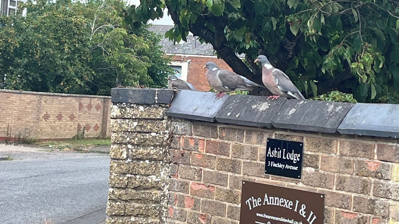Photo of Outdoor in Mildenhall
