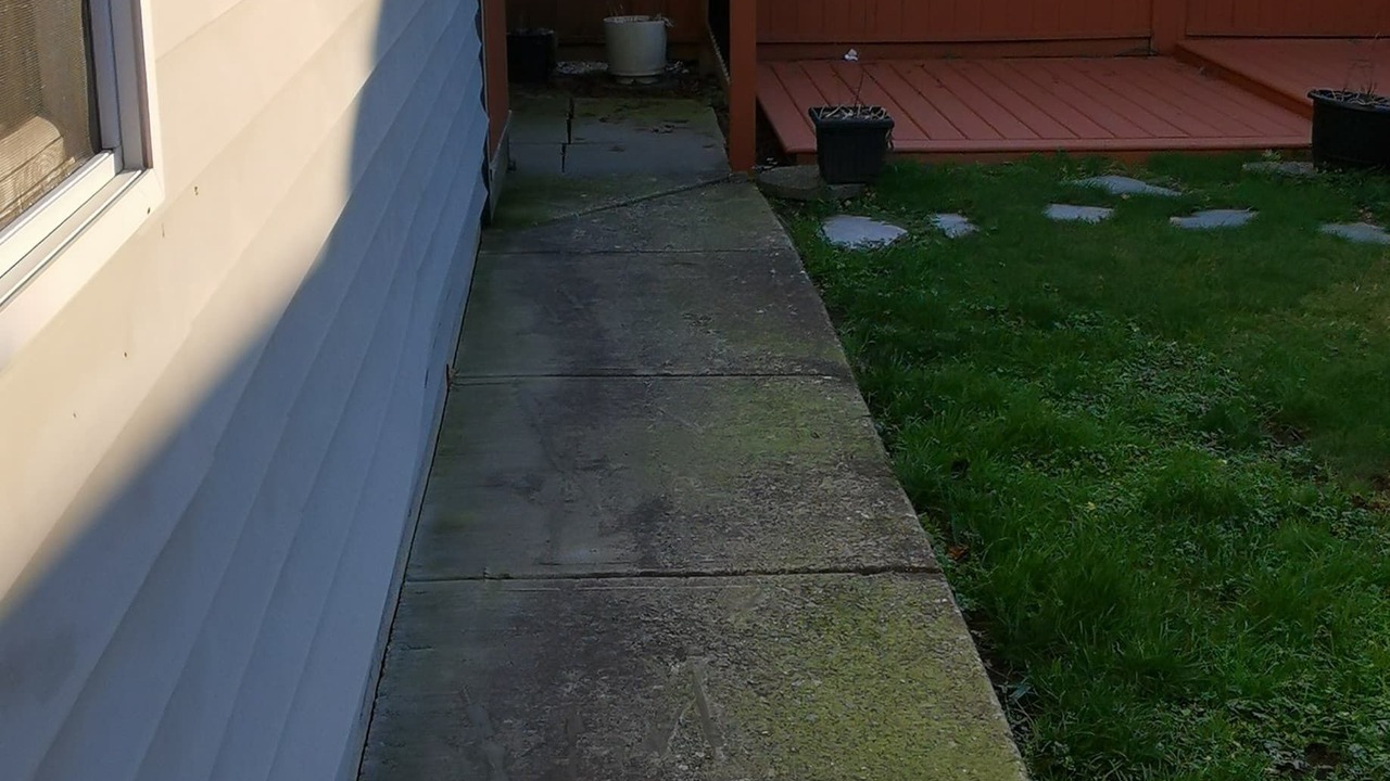 Photo of Others in Maple Ridge
