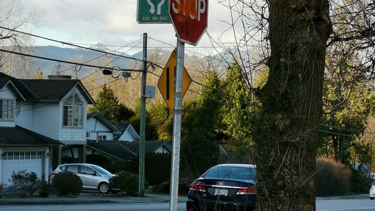 Photo of Others in Maple Ridge
