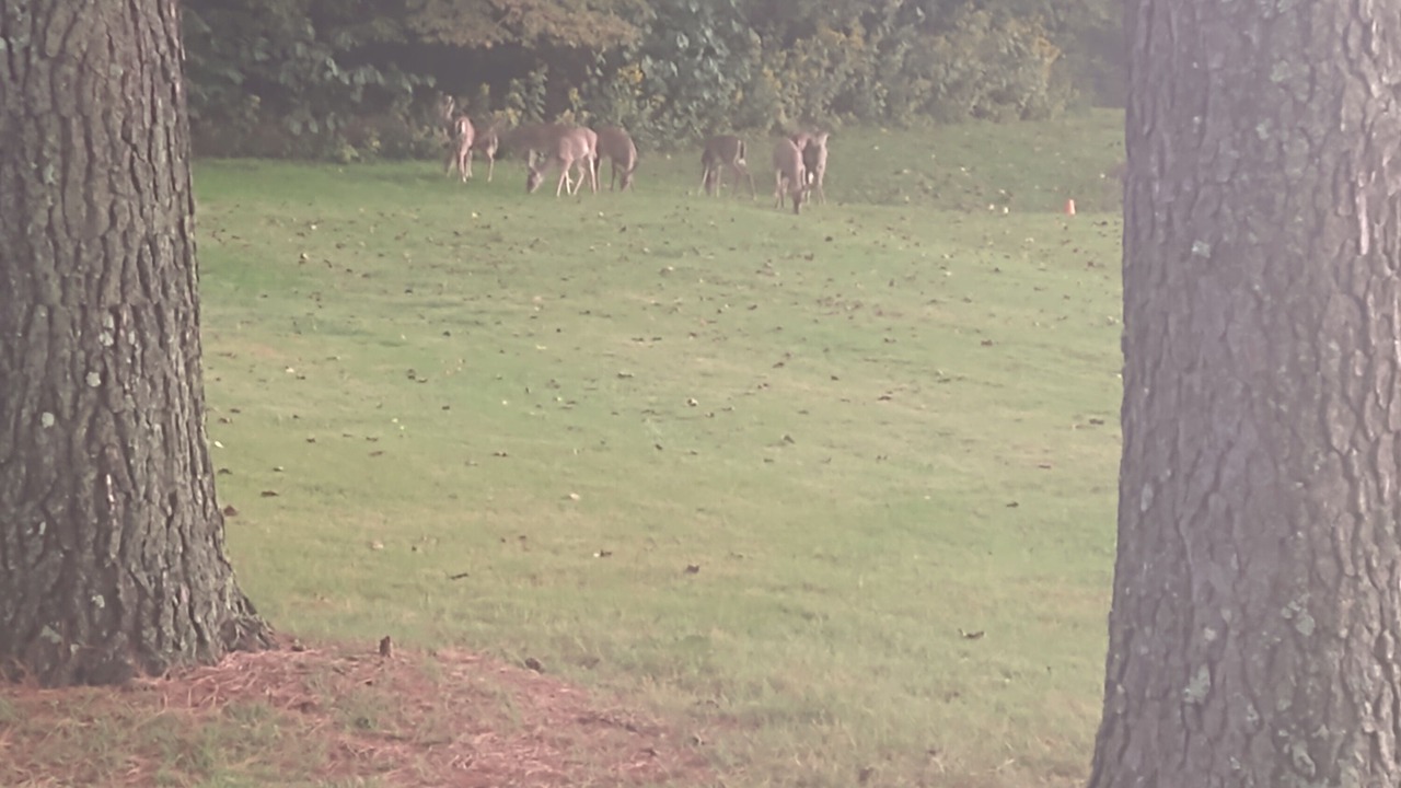 Photo of Others in Kingsmill