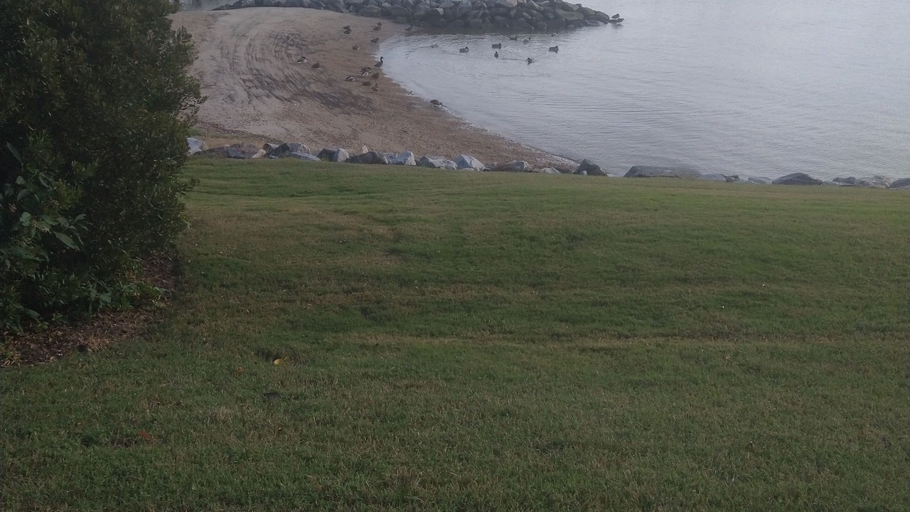 Photo of Others in Kingsmill