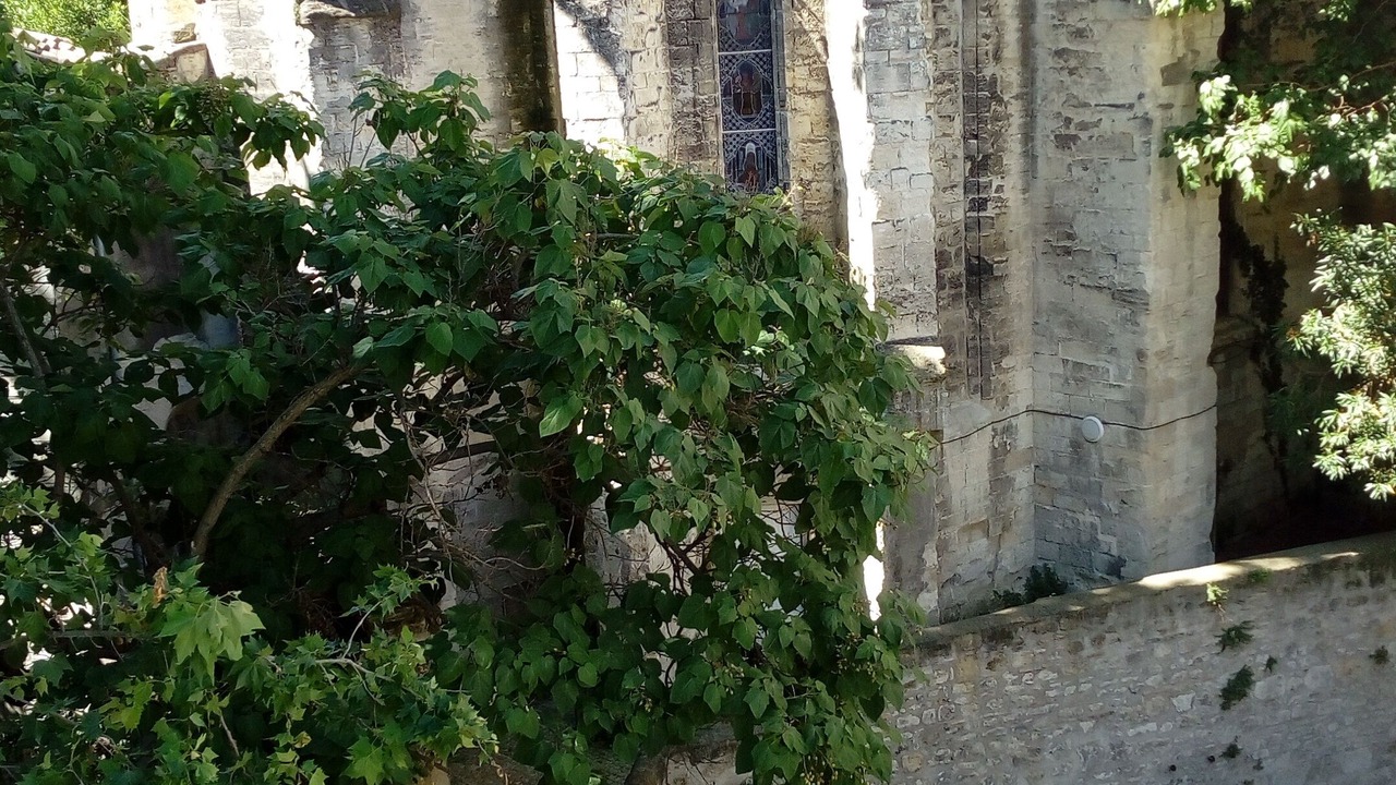 Photo of Outdoor in Avignon City Centre