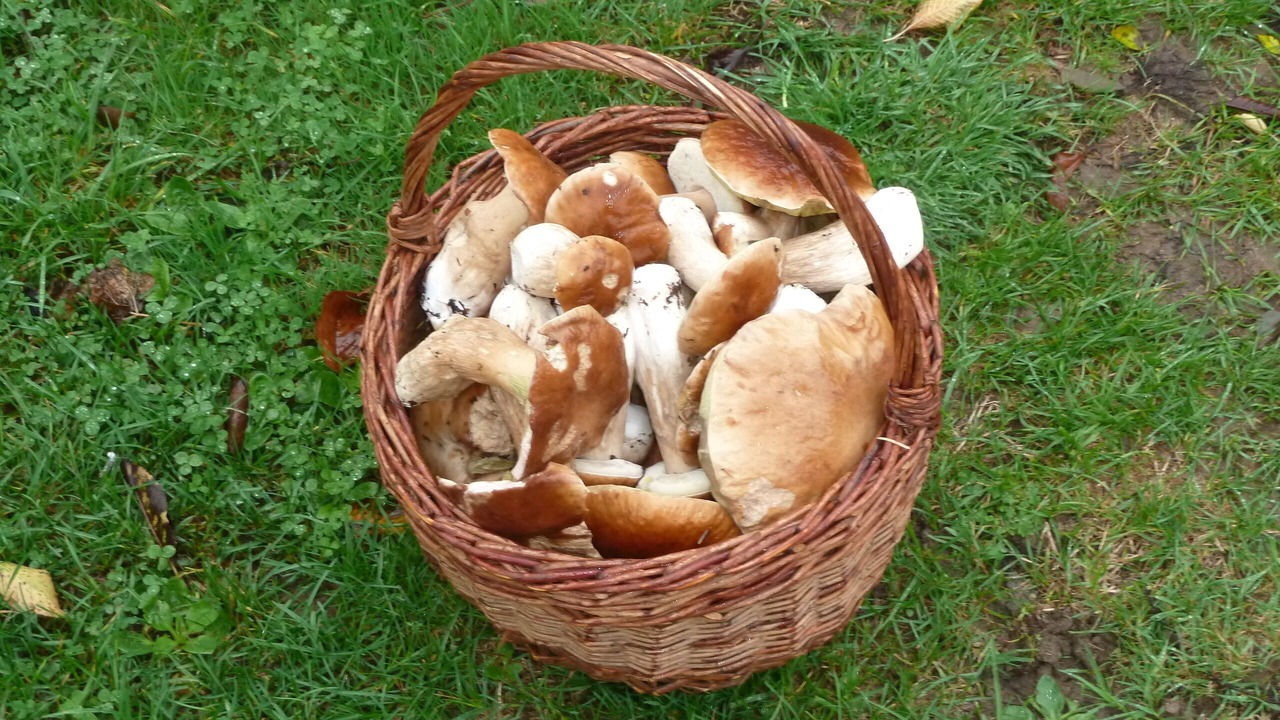 Photo of Others in Masevaux-Niederbruck
