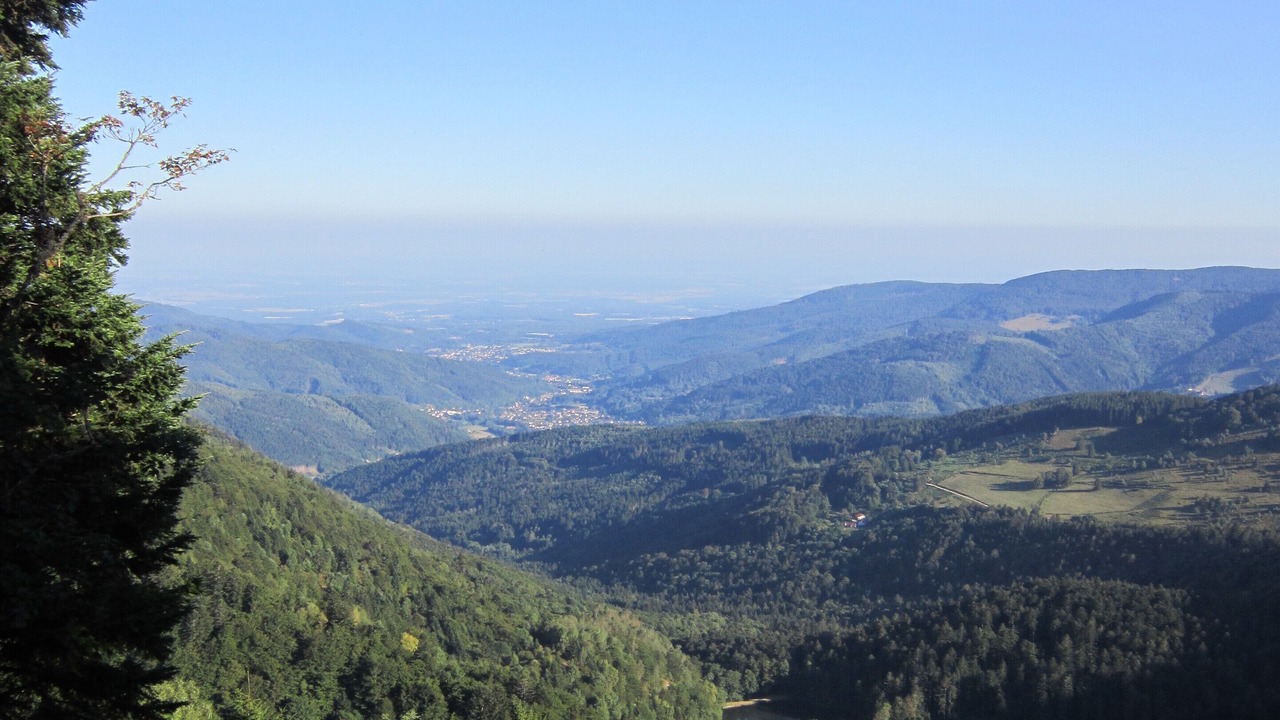 Photo of Others in Masevaux-Niederbruck