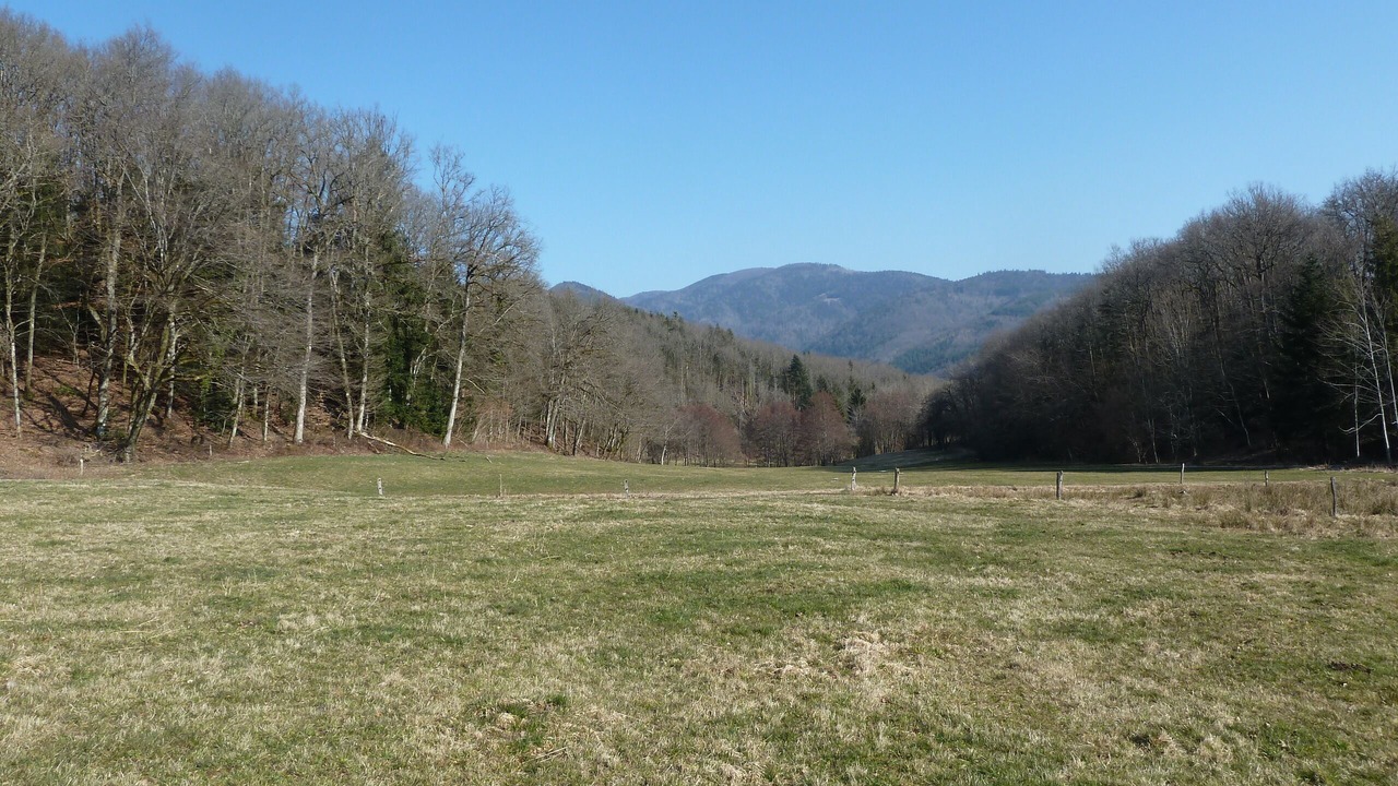 Photo of Outdoor in Masevaux-Niederbruck