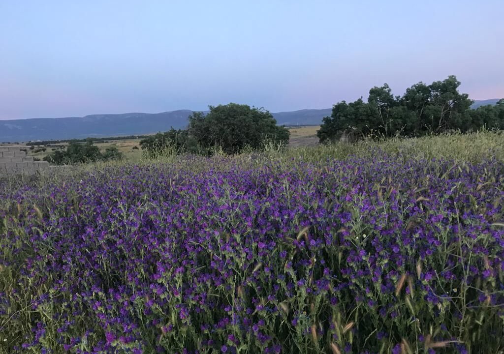 Photo of Outdoor in Brieva