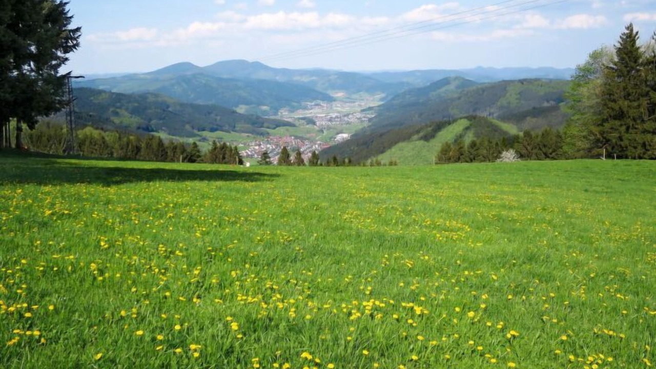 Photo of Others in Hofstetten