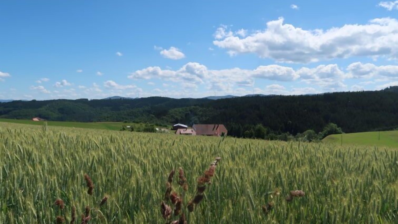 Photo of Others in Hofstetten