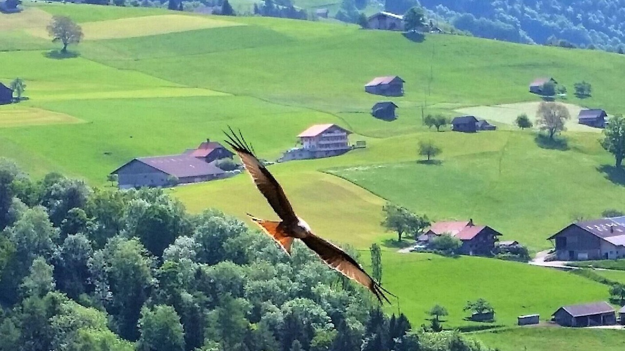 Photo of Others in Aeschlen ob Gunten