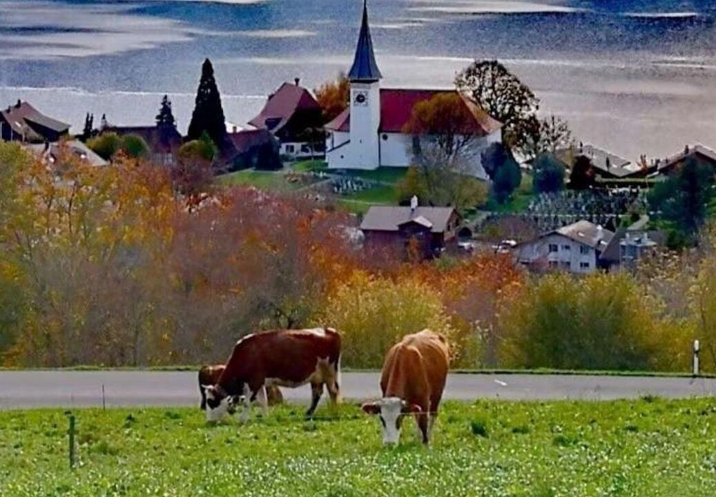 Photo of Outdoor in Aeschlen ob Gunten