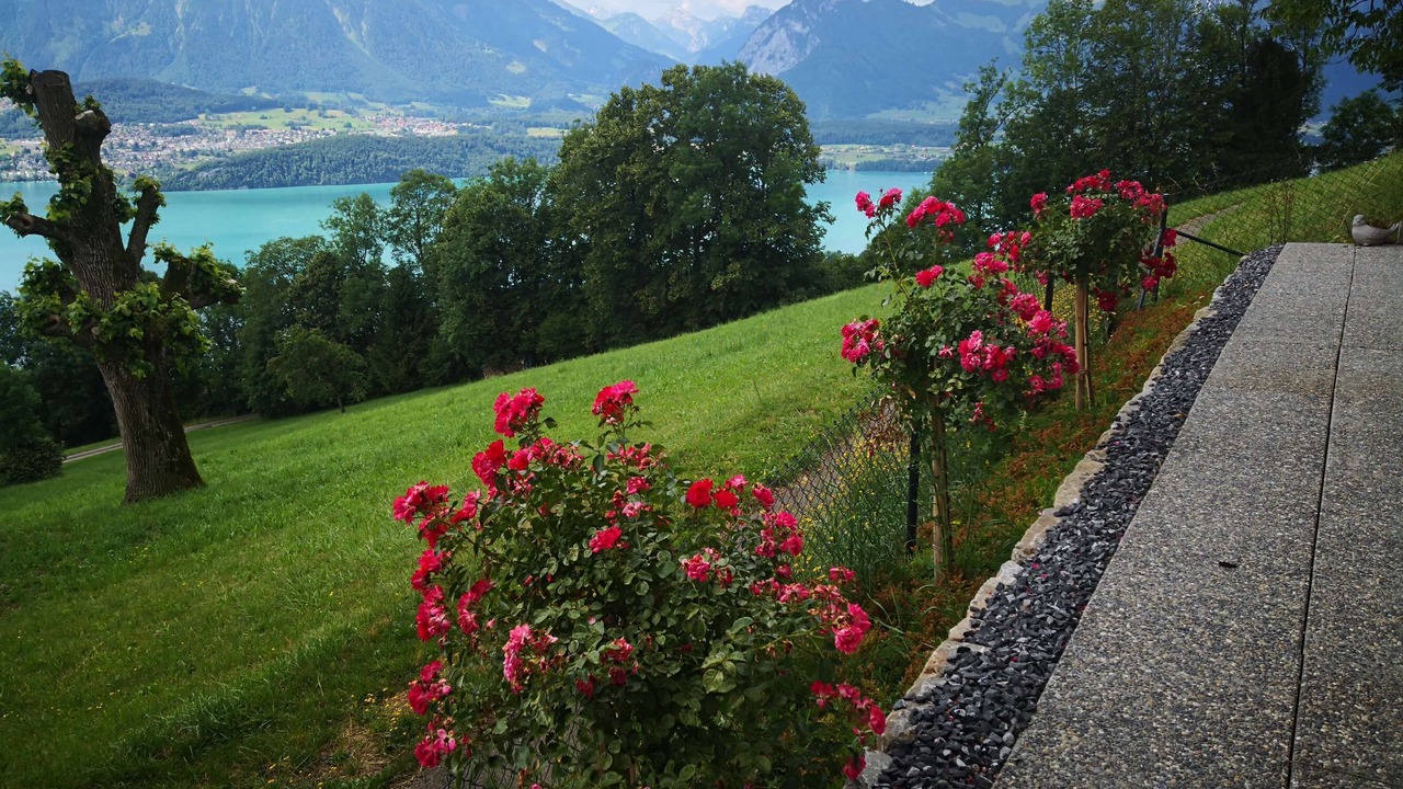 Photo of Outdoor in Aeschlen ob Gunten